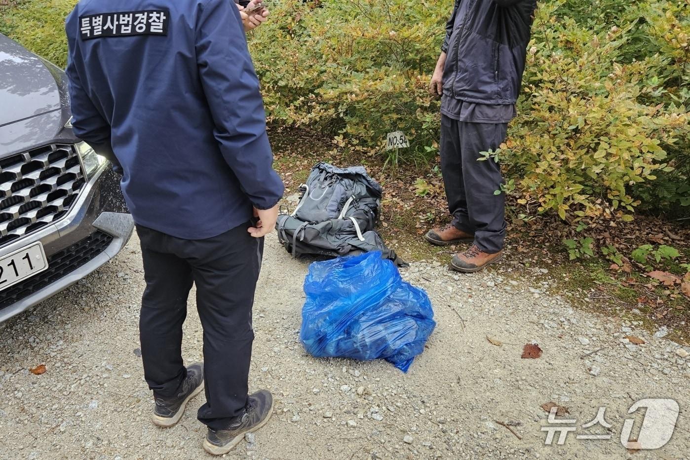 본문 이미지 - 산림특별사법경찰이 가을철 산림 내 불법행위에 대해 단속하고 있다. (산림청 제공. 재판매 및 DB 금지) 2026.9.14/뉴스1
