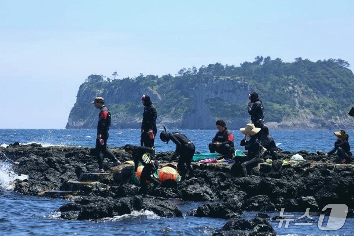 본문 이미지 - 제주 서귀포시 법환동 범섬 앞에서 물질하는 해녀들.(법환어촌체험휴양마을 누리집 갈무리)