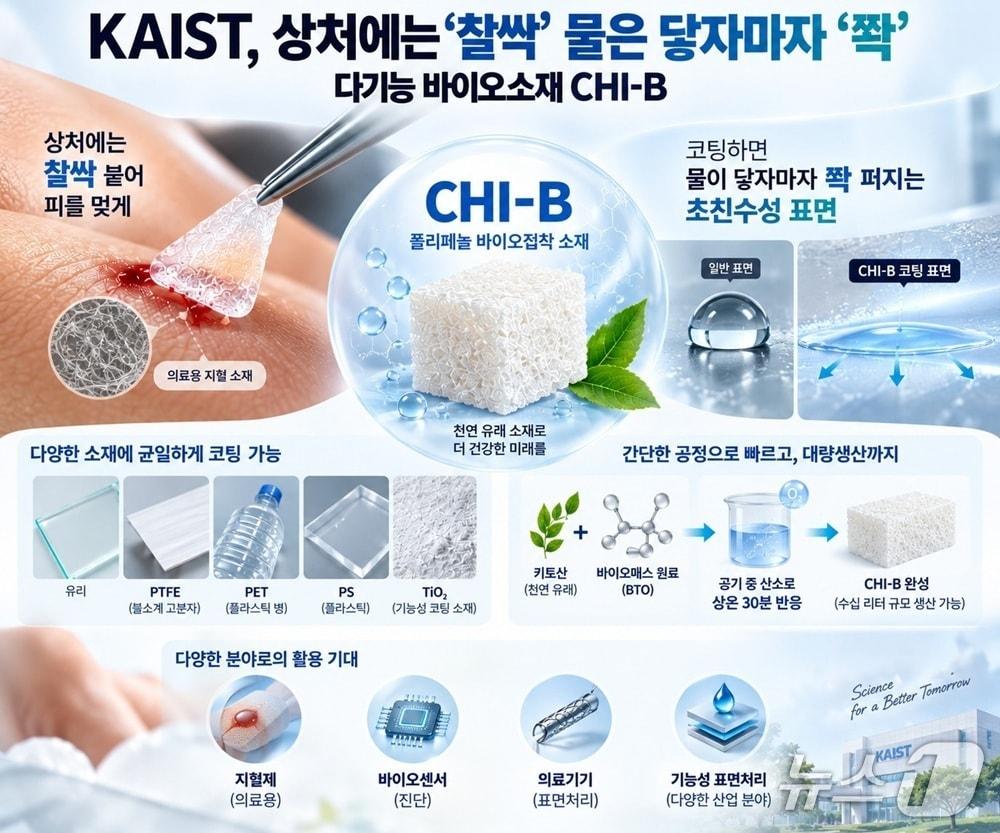본문 이미지 - 폴리페놀 바이오 접착 소재 'CHI-B' 연구 개요(AI 생성 이미지·KAIST 제공) /뉴스1