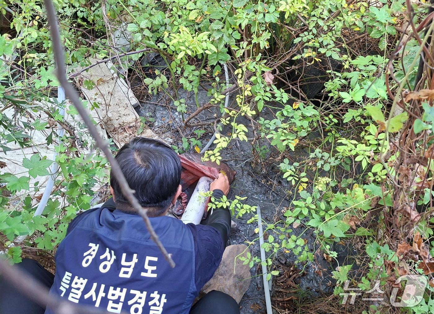 본문 이미지 - 경남도 특별사법경찰이 폐수 무단 방류를 단속 중이다.(경남도 제공. 재판매 및 D B 금지)/뉴스1