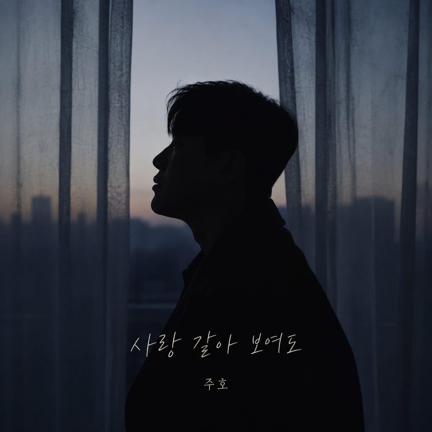 본문 이미지 - 주호