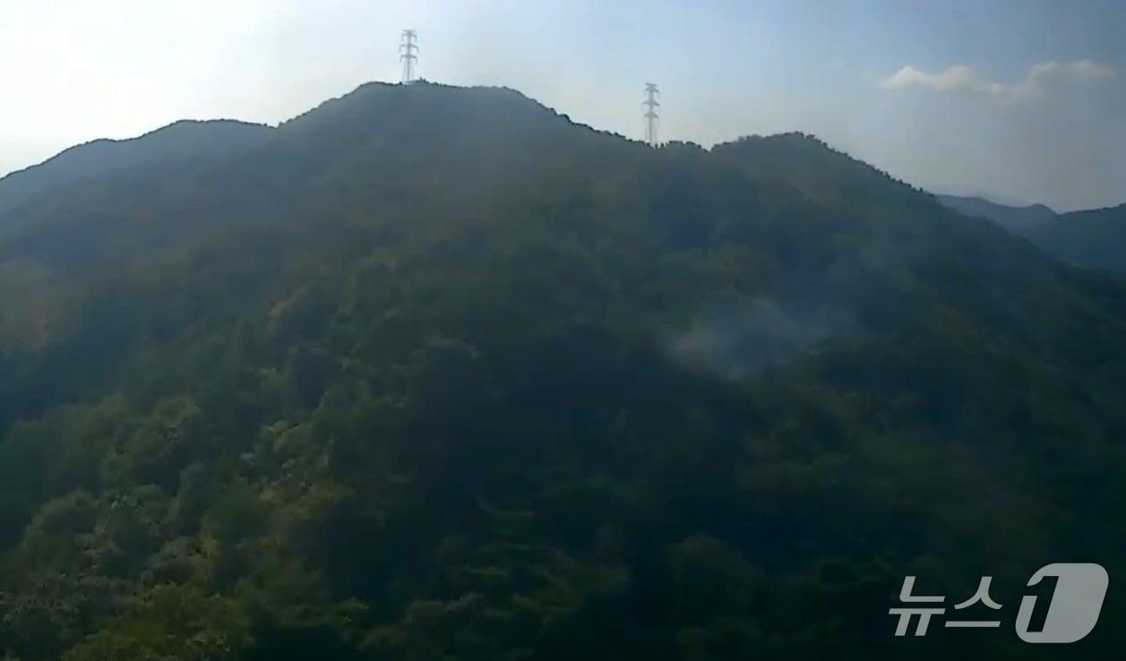 본문 이미지 - 16일 오전 8시 48분쯤 경남 창원시 마산합포구 예곡동 한 야산에서 불이 났다. 사진은 화재 현장 모습(산림청 제공. 재판매 및 DB 금지)