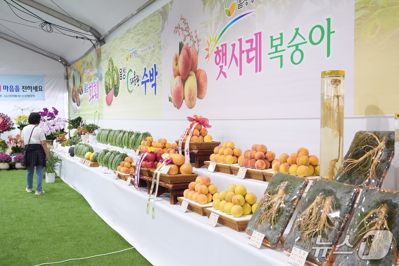 본문 이미지 - 2025 음성명작 페스티벌 농산물 전시(음성군 제공. 재판매 및 DB 금지) 2026.9.16/뉴스1