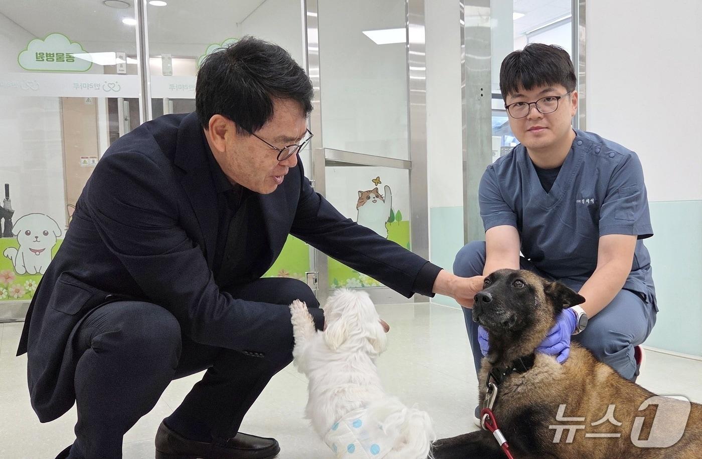 본문 이미지 - 김정욱 농림축산식품부 농산업혁신정책실장이 16일 경기 반려마루 동물병원을 찾아 은퇴 군견과 불법 번식장에서 구조한 강아지를 쓰다듬고 있다. ⓒ 뉴스1 최서윤 기자