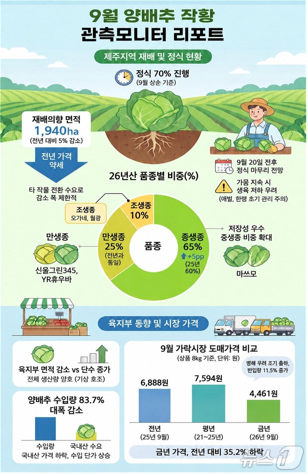 본문 이미지 - 제주특별자치도 농업기술원의 양배추 작황 모니터링 리포트. (제주특별자치도 농업기술원 제공. 재판매 및 DB 금지)