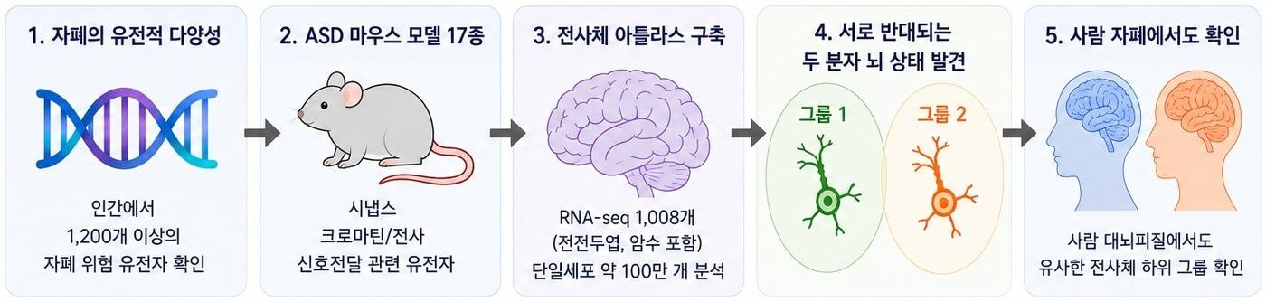 본문 이미지 - (과기정통부 제공)