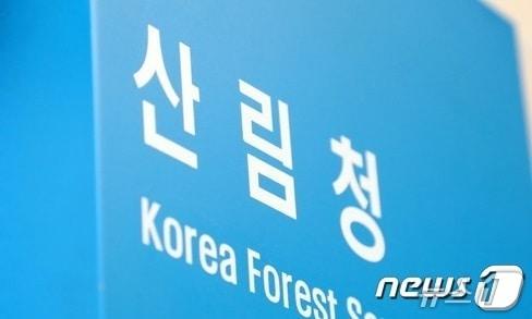 본문 이미지 -  