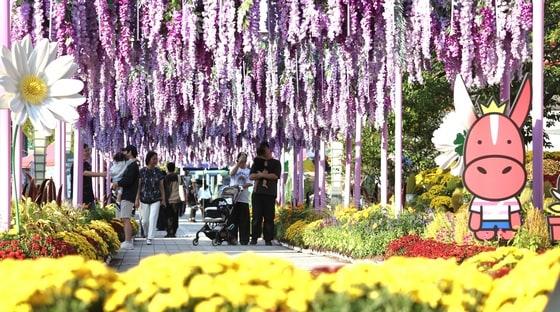 본문 이미지 - 전북 진안군 마이산 북부 일원에서 열린 진안 홍삼축제에 방문객들의 발길이 이어지고 있다.  ⓒ 뉴스1 유경석 기자