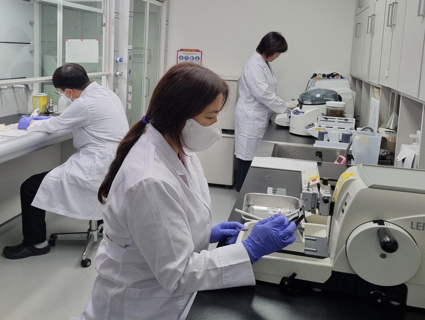 본문 이미지 - 경기도동물위생시험소 수의법의학센터 내 병리조직검사 실험실(도 제공) ⓒ 뉴스1