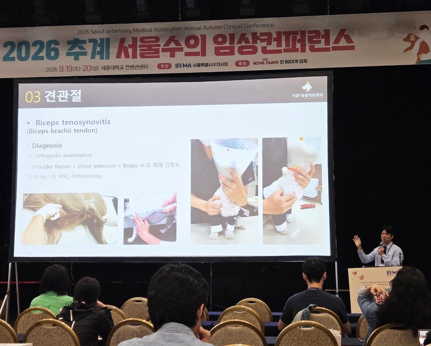 본문 이미지 - 김종인 VIP동물의료센터 청담점 원장이 2026 추계 서울수의임상컨퍼런스에서 강의하고 있다. ⓒ 뉴스1