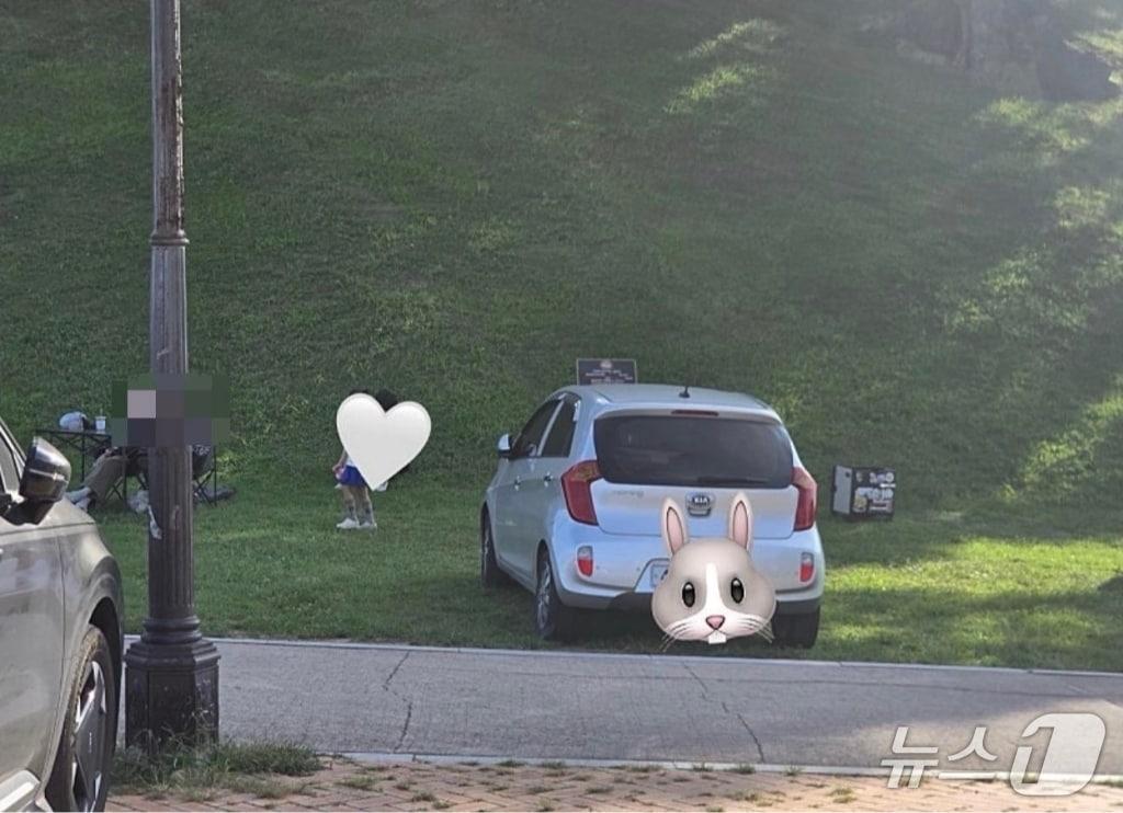 본문 이미지 - 지난 13일 인터넷 커뮤니티 보배드림에 경주 봉황대 잔디받에 주차한 차량의 사진이 공개됐다.(보배드림 게시판 캡쳐)2026.9.19/뉴스1