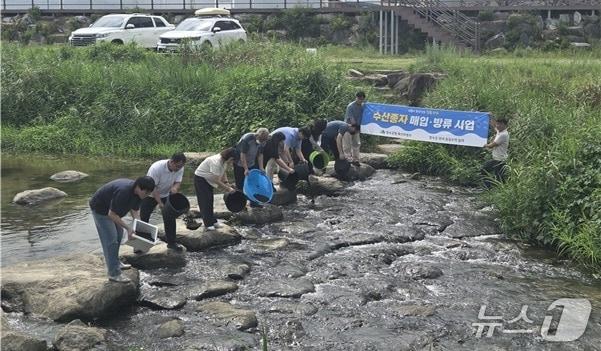 본문 이미지 - 장수군은 전날 번암면·장계면·천천면 일대 하천에 어린 다슬기 90만 패를 방류했다고 2일 밝혔다.(장수군 제공, 재판매 및 DB금지)2026.9.2/뉴스1