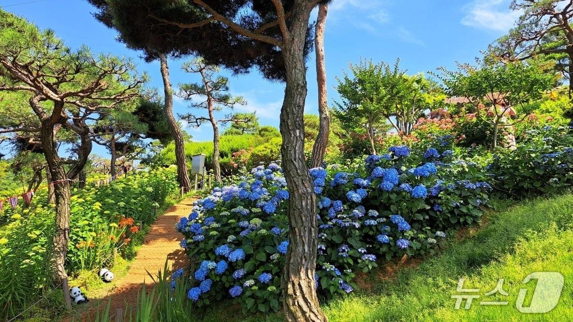 본문 이미지 - 충청북도 청주시 공간정원. (산림청 제공. 재판매 및 DB 금지) /뉴스1