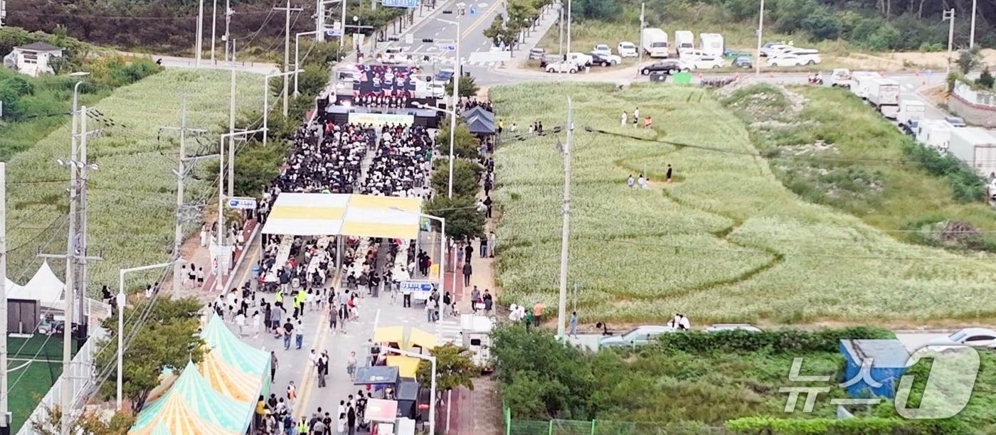 본문 이미지 - 칠곡 석적읍 승격 20주년 행사 모습.(칠곡군 제공. 재판매 및 DB 금지)/뉴스1
