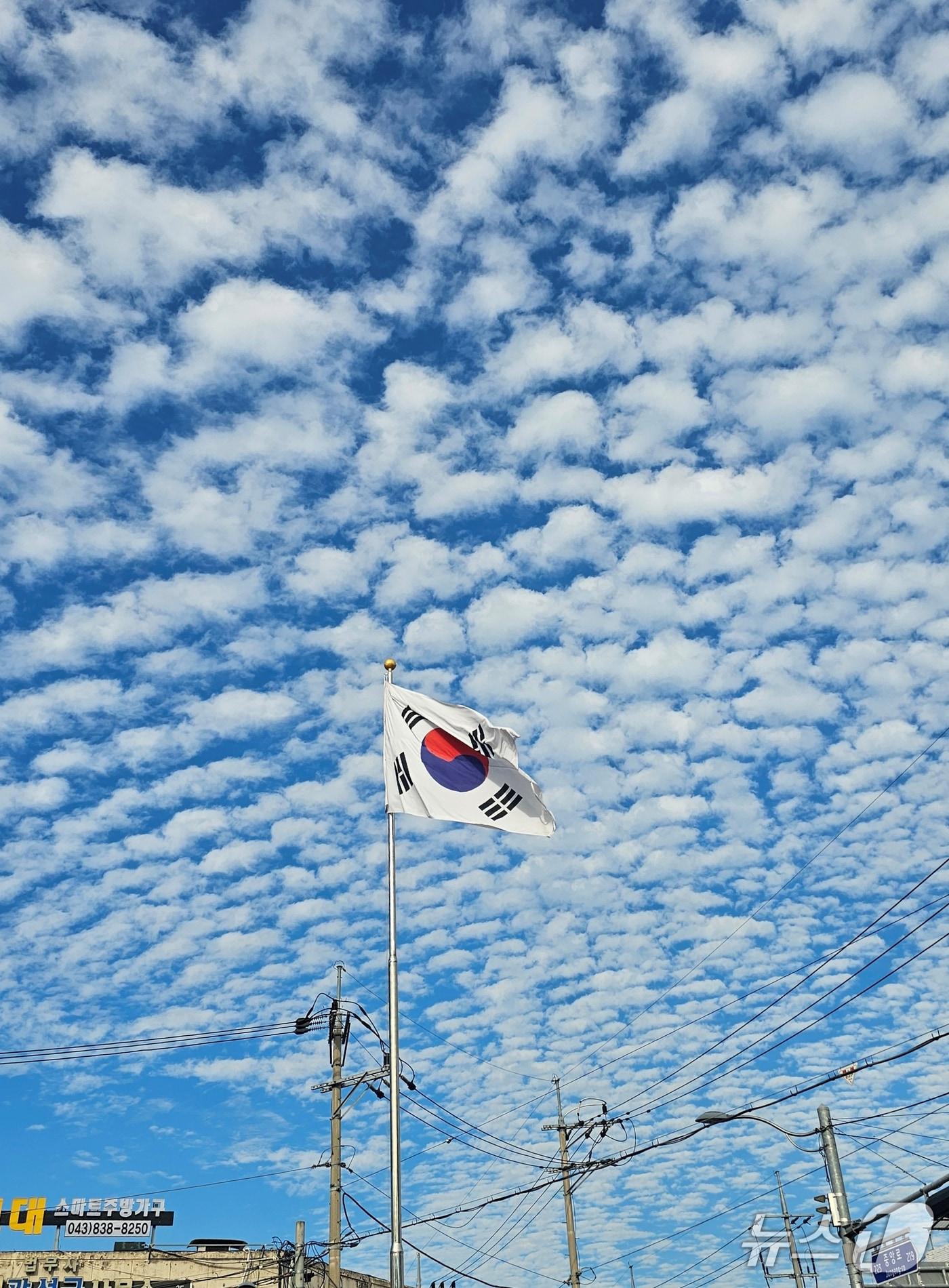 본문 이미지 - 파란 가을 하늘을 배경으로 나부끼는  태극기.(자료사진)/뉴스1