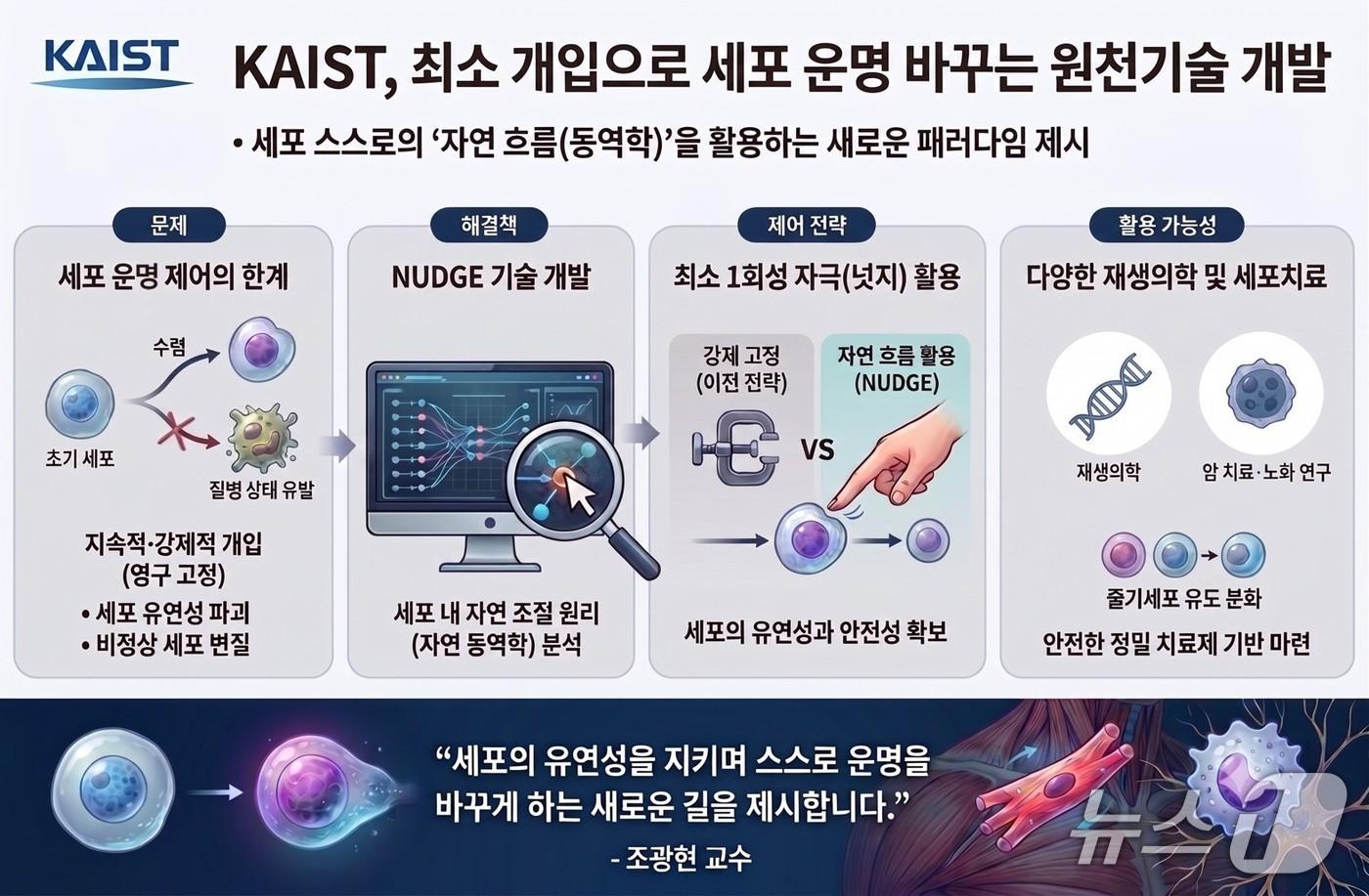본문 이미지 - 범용 세포 제어 기술 '넛지' 연구 이미지(AI 생성·KAIST 제공) /뉴스1
