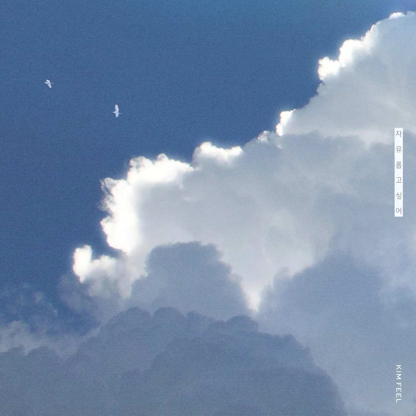 본문 이미지 - 웨이크원 제공