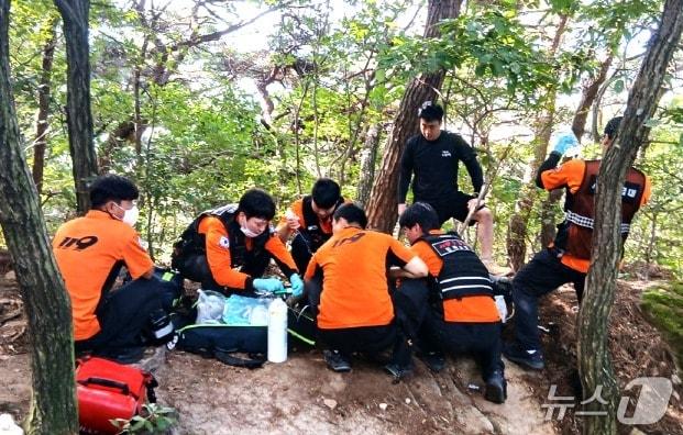 본문 이미지 - 27일 오전 10시 12분께 익산 금마면 미륵산에서 직장동료와 함께 등산을 하던 A 씨(30)가 머리 부위를 벌에 쏘이는 사고를 당했다.(전북소방본부 제공, 재판매 및 DB 금지).