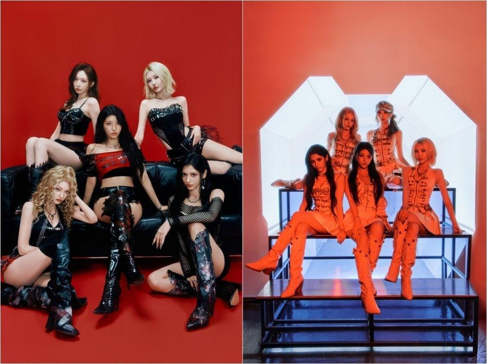 본문 이미지 - 사진제공=비바이엔터테인먼트
