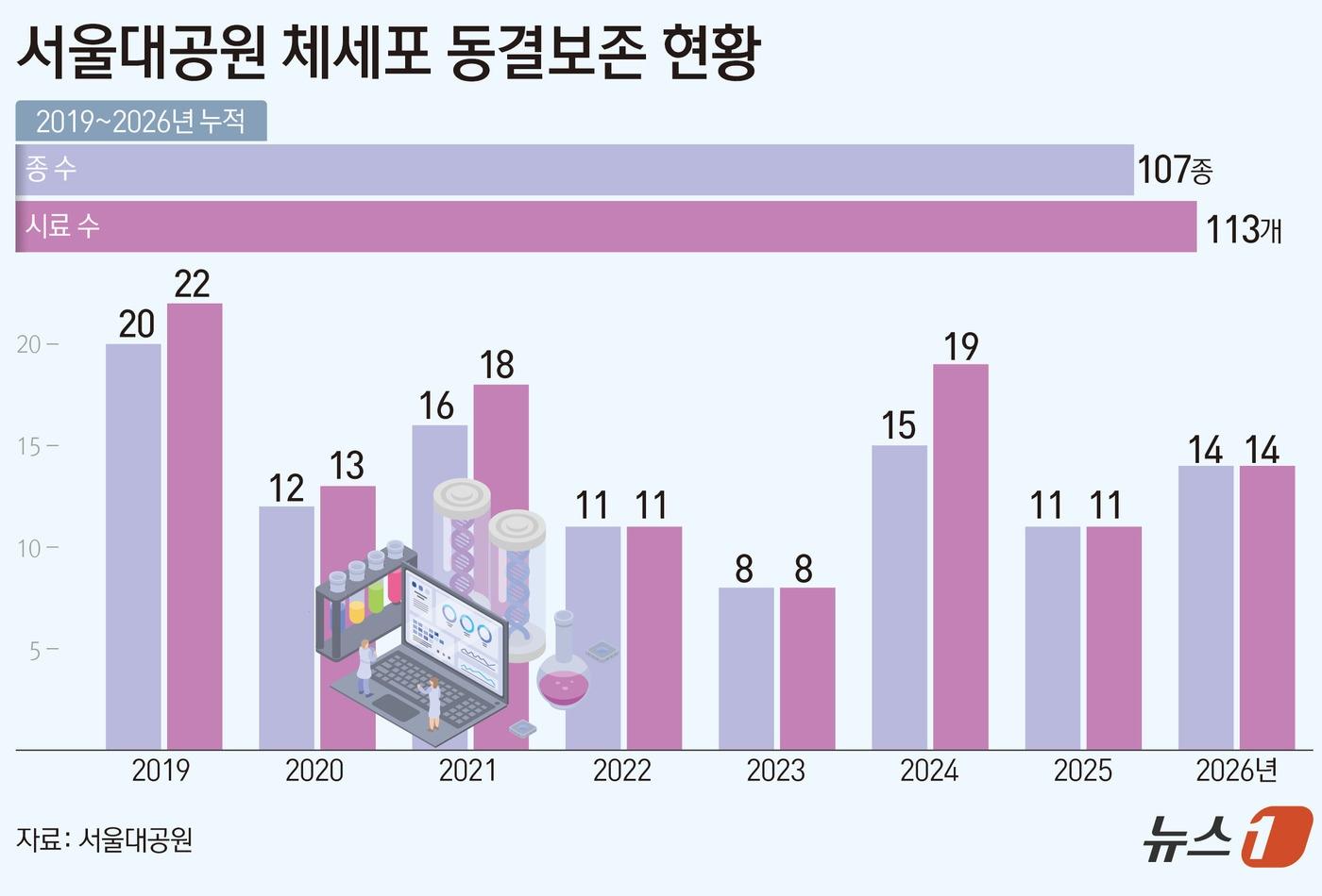 본문 이미지 - ⓒ 뉴스1 김초희 디자이너