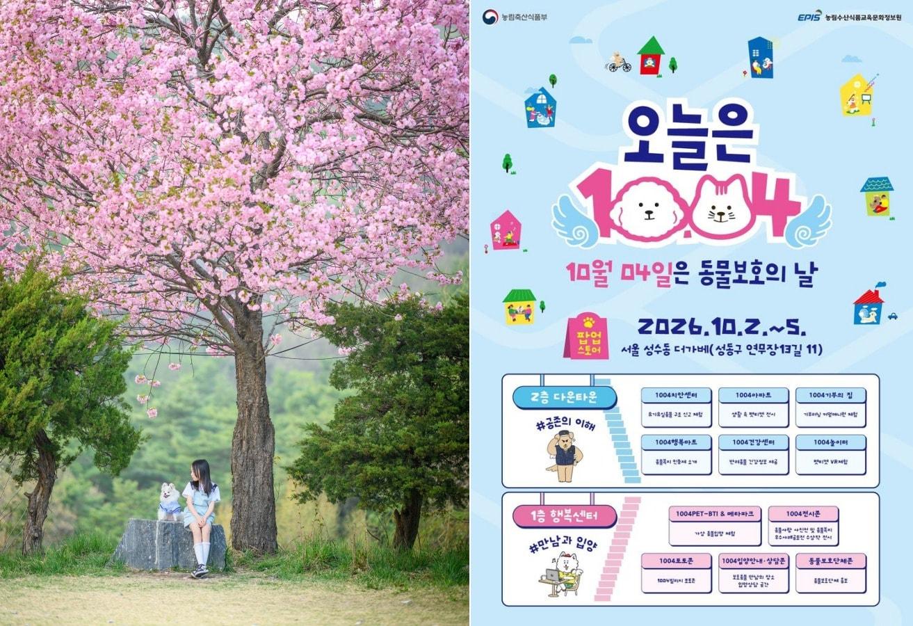 본문 이미지 - '동물사랑' 공모전 대상작과 '동물보호의 날' 팝업스토어 포스터(농림축산식품부 제공 ⓒ 뉴스1