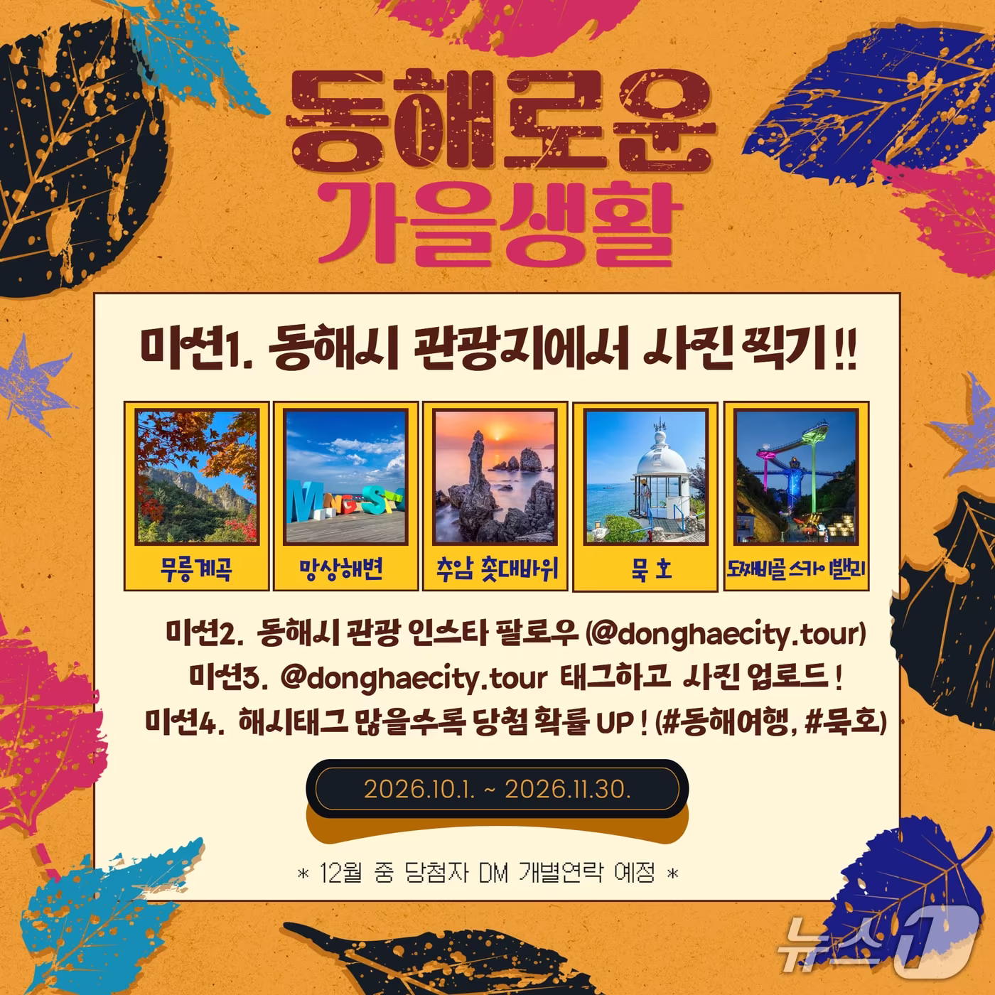 본문 이미지 - 동해시 SNS 이벤트 개최 홍보물.(동해시 제공. 재판매 및 DB 금지) 2026.9.29/뉴스1