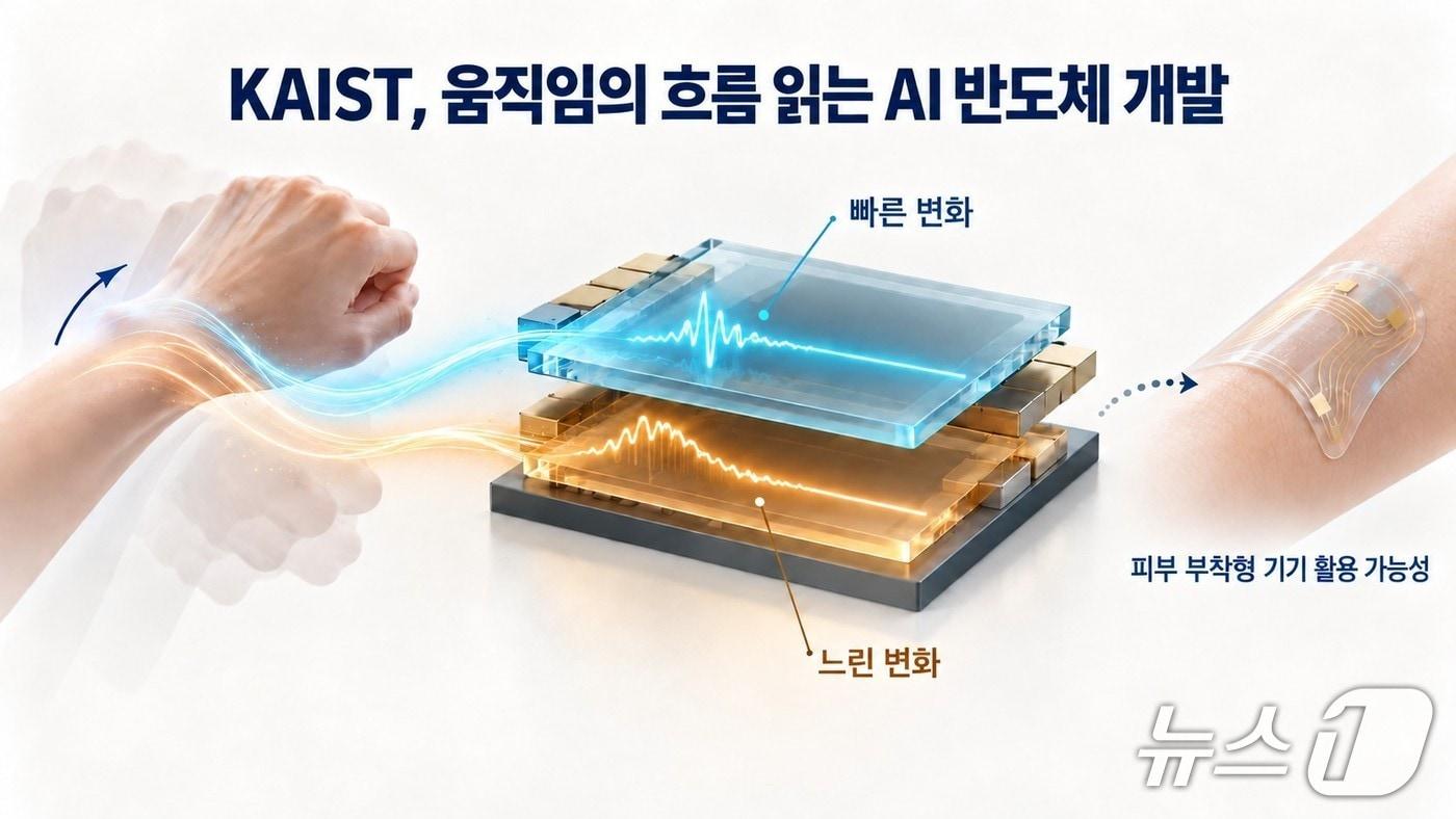 본문 이미지 - 연구 개념도(AI 생성 이미지·KAIST 제공) /뉴스1