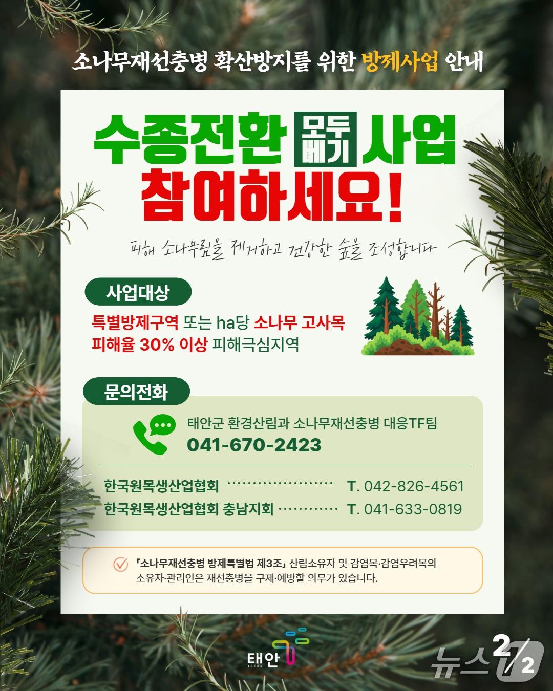 본문 이미지 - 수종전환(모두베기) 홍보 포스터(태안군 제공. 재판매 및 DB 금지)