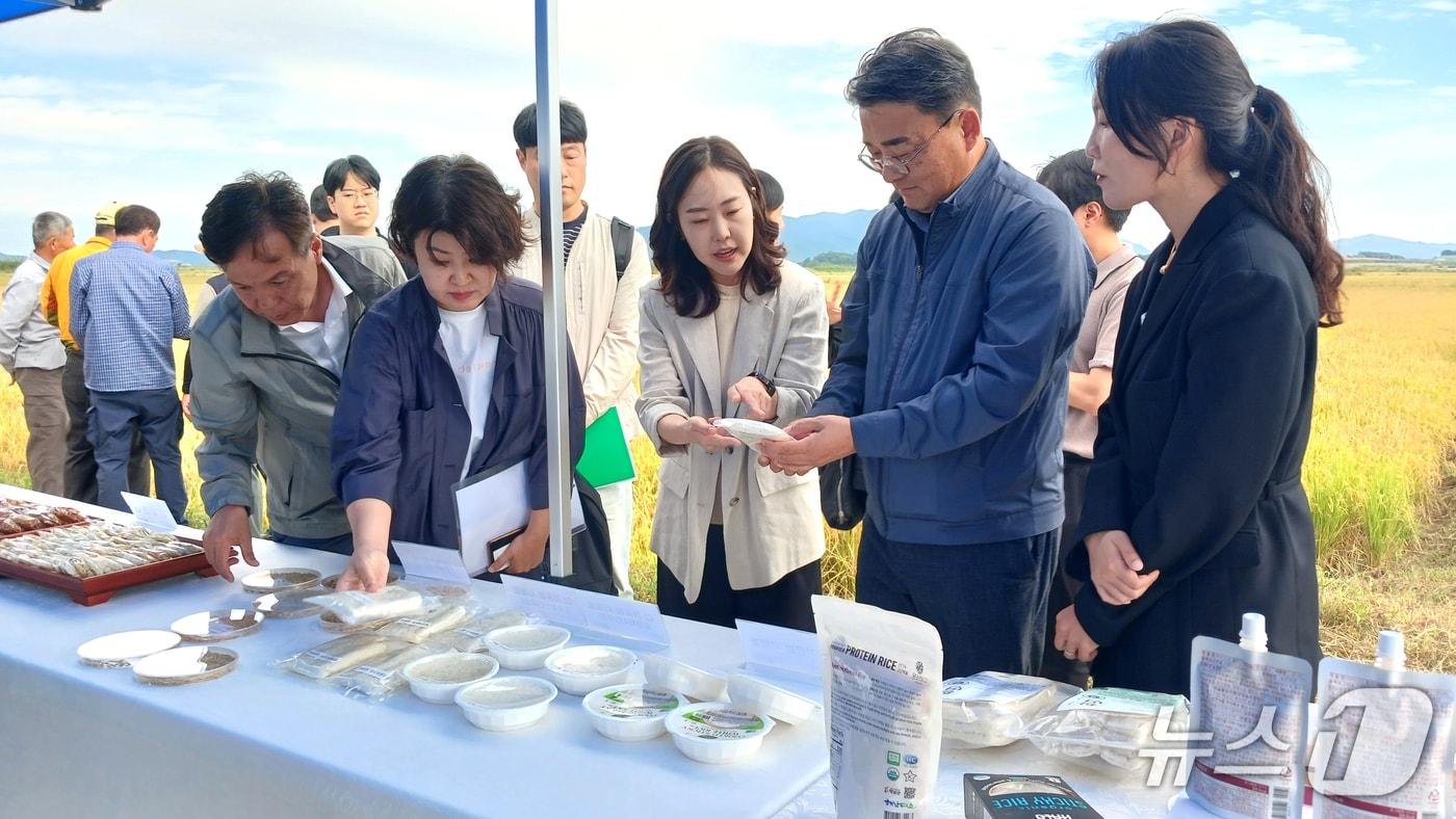 본문 이미지 - 농촌진흥청은 29일 전남 해남군 장립종 생산실증단지에서 '수출용 K-장립종 현장연시회'를 열고 국산 장립종 벼 우량계통의 재배 가능성과 가공 특성을 평가했다. (농진청 제공) /2026.9.29/ ⓒ 뉴스1 