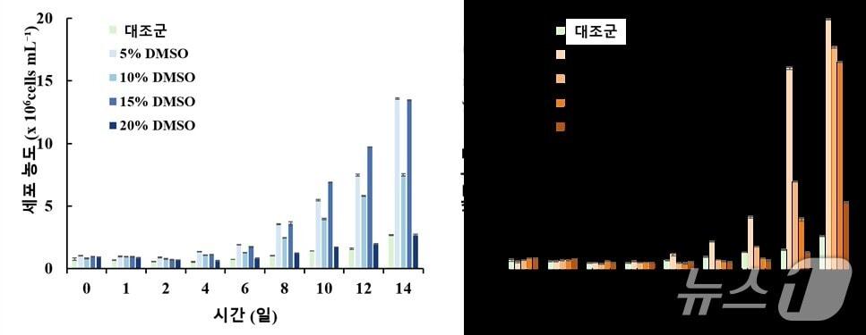 본문 이미지 - 국립낙동강생물자원관은 29일 담수 미세조류인 테트라데스무스속 2종의 동결보존에 적합한 조건을 확인했다.사진은 테트라데스무스 다이모퍼스(T. dimorphus) 동결보호제 종류·농도별 해동 후 세포 농도 (국립낙동강생물자원관 제공. 재판매 및 DB 금지) /뉴스1