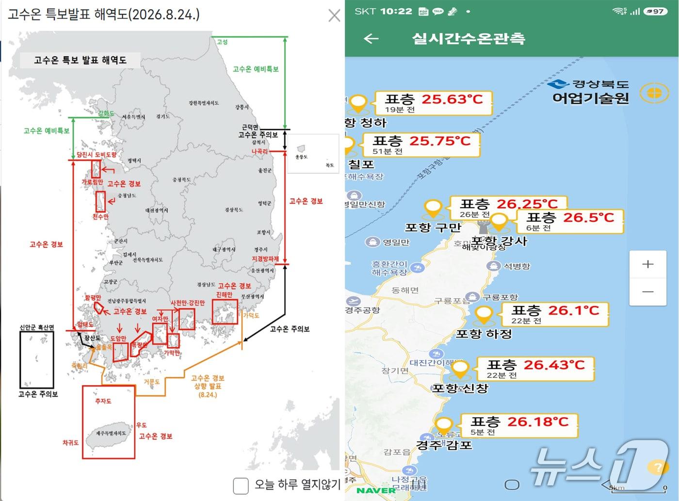 본문 이미지 - 경북 동해안에 발령된 고수온 경보로 포항 육상 양식장에서 한 달 동안 260만 8000여 마리의 물고기가 폐사한 것으로 나타났다.(국립수산과학원, 경북도어업기술원 홈페이지 갈무리. 재판매 및 DB금지)