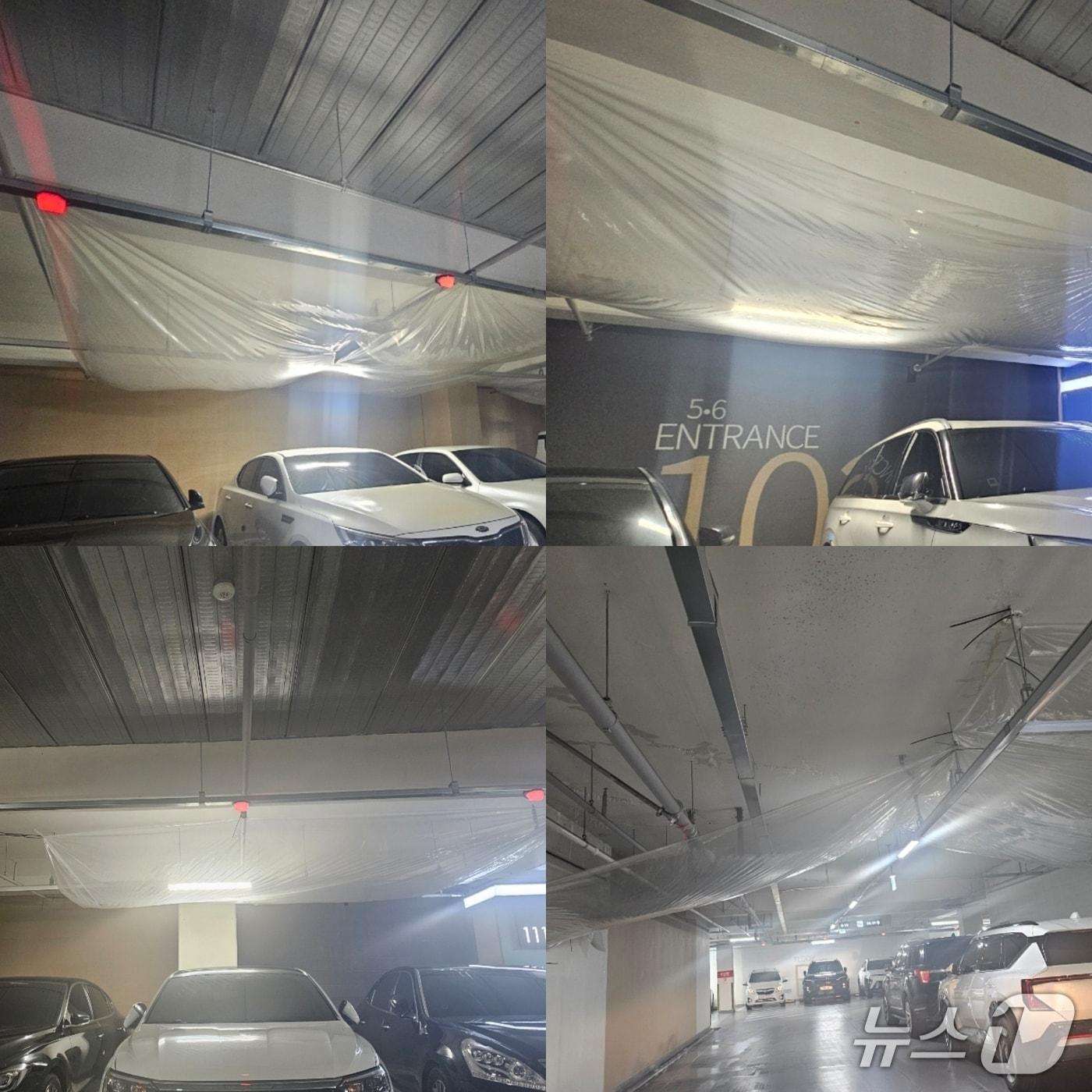 본문 이미지 - 3일 경북 안동시 용상동의 한 아파트 지하 주차장에 누수로 인한 비닐막이 천장 곳곳에 설치돼 있다.2026.9.3/뉴스1 신성훈 기자