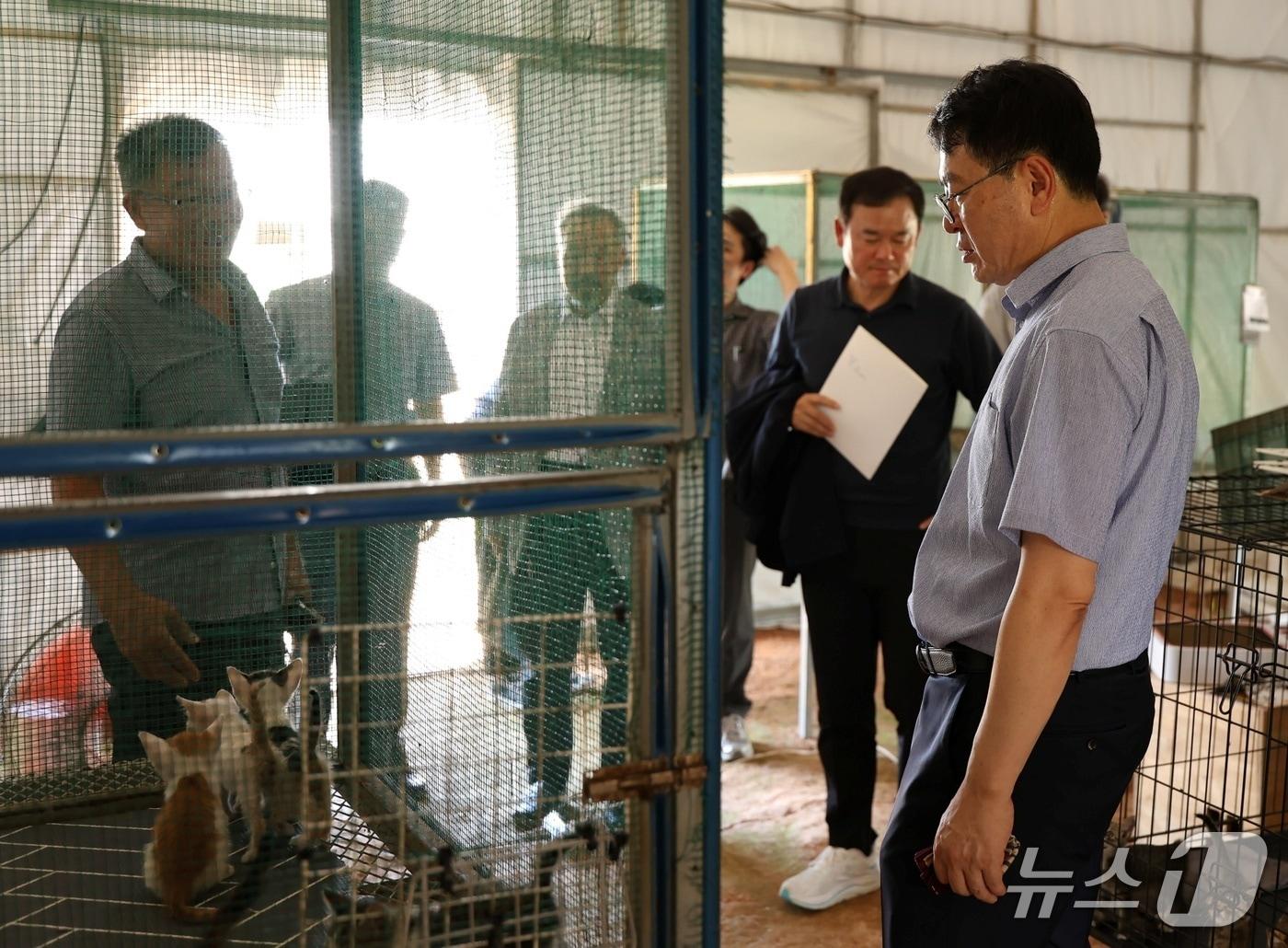 본문 이미지 - 김정욱 농산업혁신정책실장이 3일 나주시 동물보호센터를 돌아보고 있다(농식품부 제공). ⓒ 뉴스1