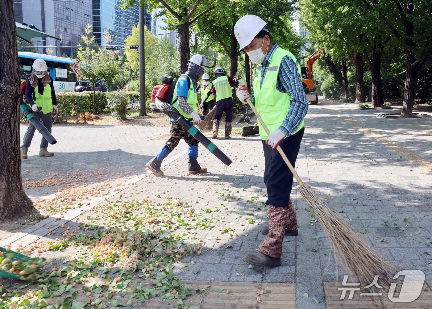 본문 이미지 - 서울 송파구 올림픽 공원 한 도로변에서 구청 관계자들이 은행나무 열매를 정리하는 모습. (송파구청 제공. 재판매 및 DB 금지) 2026.9.30 ⓒ 뉴스1
