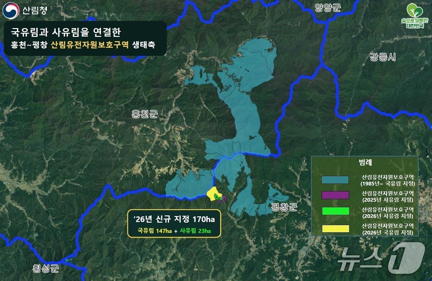 본문 이미지 - 국유림과 사유림을 연결한 홍천-평창 산림유전자원보호구역 생태축 도면(산림청 제공.재판매 및 DB금지)/뉴스1