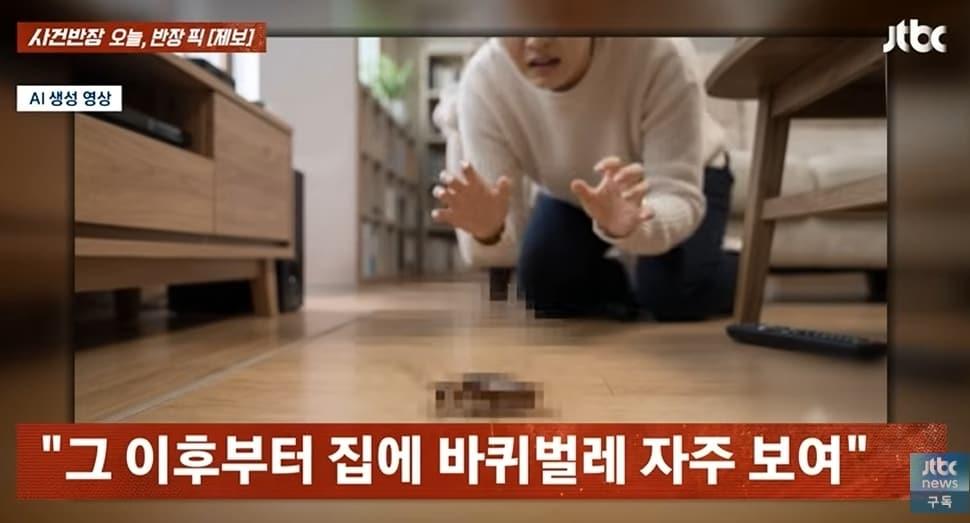 본문 이미지 - JTBC '사건반장'