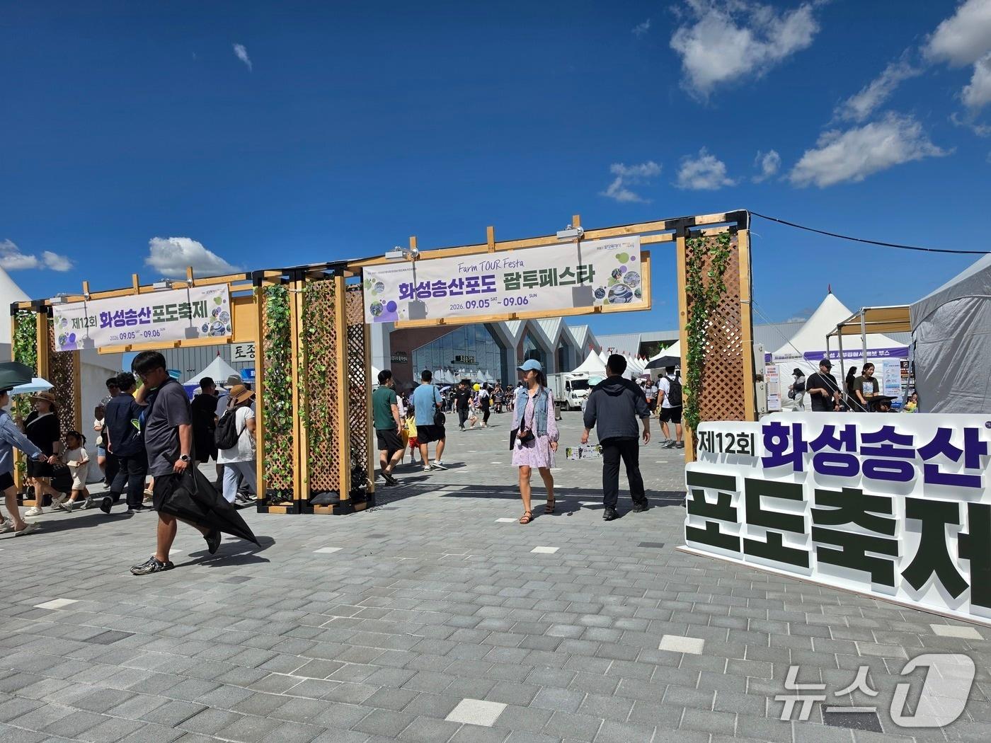 본문 이미지 - 화성시 서신면 에코팜테마파크에서 '화성송산포도 Farm Tour Festa'가 열리고 있다.ⓒ 뉴스1 최대호 기자