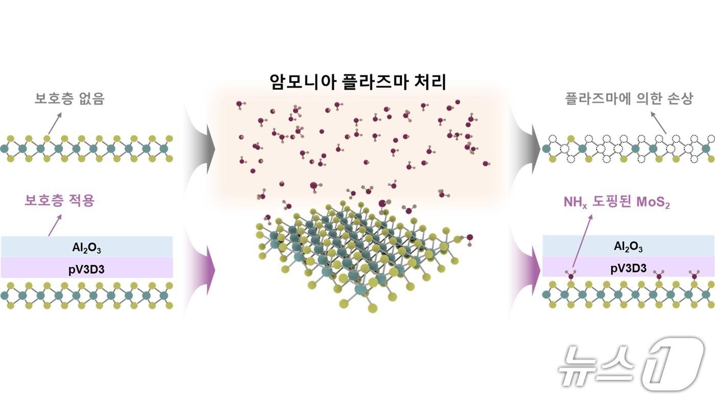 본문 이미지 - 초박막 보호층을 이용한 손상 없는 2차원 반도체 플라즈마 도핑(KAIST 최성율 교수 연구팀 제공) /뉴스1