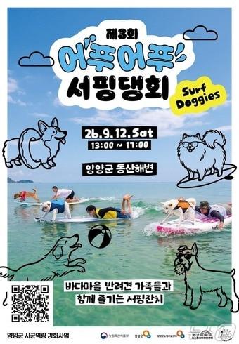 본문 이미지 - 어푸어푸 서핑댕회 홍보뭏.(양양군 제공, 재판매 및 DB 금지) 2026.9.7/뉴스1