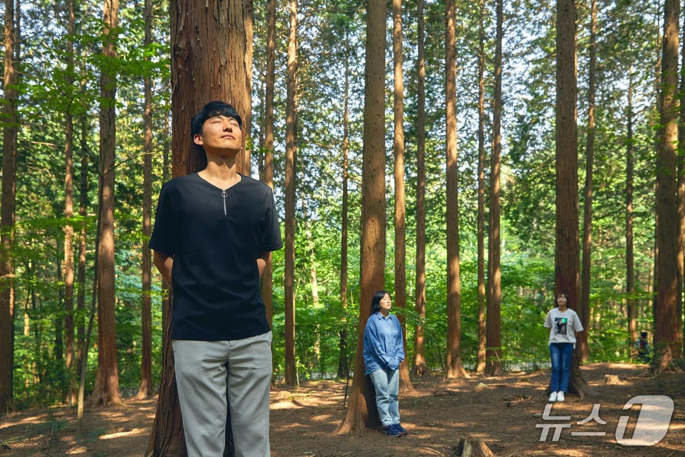 본문 이미지 - 산림청 한국산림복지진흥원이 서울 관악·광진·송파구 보건소와 연계해 산림치유서비스 실증사업을 추진한다.(한국산림복지진흥원 제공. 재판매 및 DB금지)2026.9.7/뉴스1