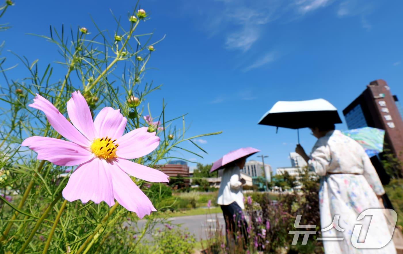 본문 이미지 - 절기상 백로를 맞이한 7일 서울 종로구 열린송현녹지광장을 찾은 시민들이 가을을 만끽하고 있다. 2026.9.7 ⓒ 뉴스1 이호윤 기자