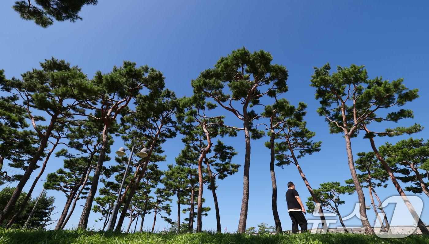 본문 이미지 - 절기상 백로이자 푸른 하늘의 날인 7일 경기 수원시 팔달구 수원화성 창룡문 위로 파란 가을 하늘이 보이고 있다. 2026.9.7 ⓒ 뉴스1 김영운 기자