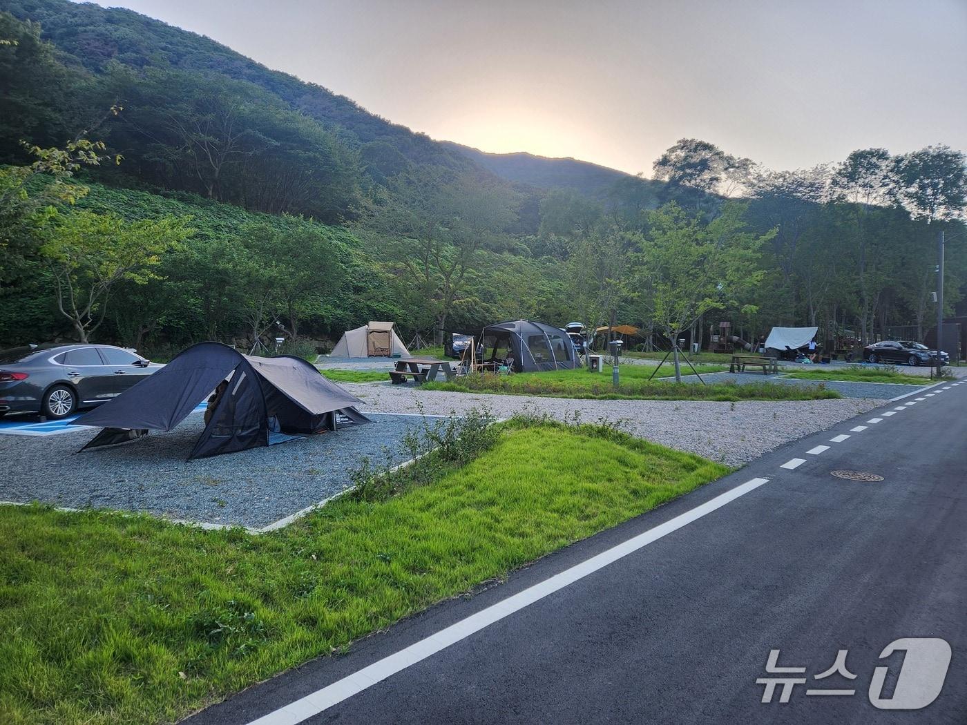 본문 이미지 - 오는 10월 개장하는 김해 상동 숲속 야영장.(김해시 제공. 재판매 및 DB금지)/뉴스1