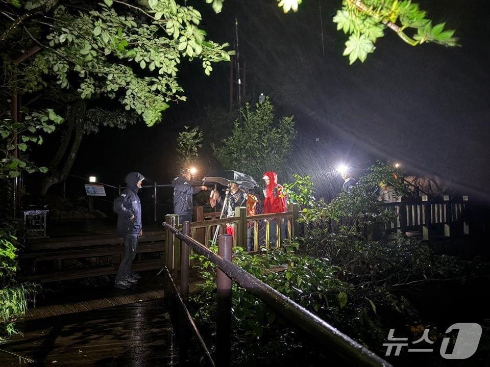 본문 이미지 - 지난 8일 설악산 토왕골 등산객 고립 현장.(설악산국립공원사무소 제공, 재판매 및 DB 금지) 2026.9.9/뉴스1