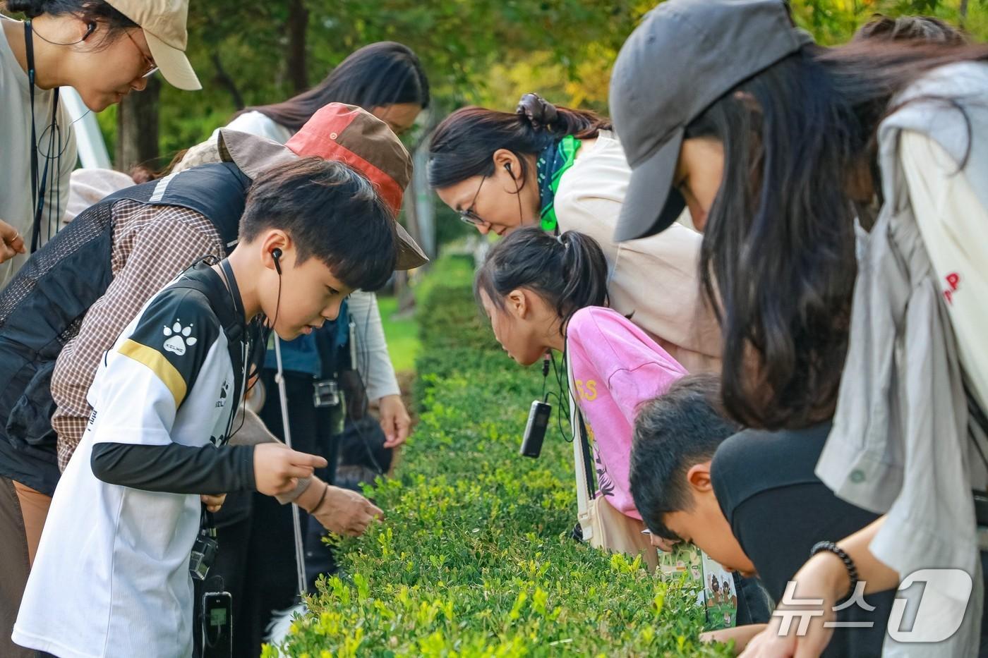 본문 이미지 - '생태전문가와 함께하는 달서생태탐험' 참여자들이 식물을 관찰하고 있. (대구 달서구 제공. 재판매 및 DB 금지)/뉴스1
