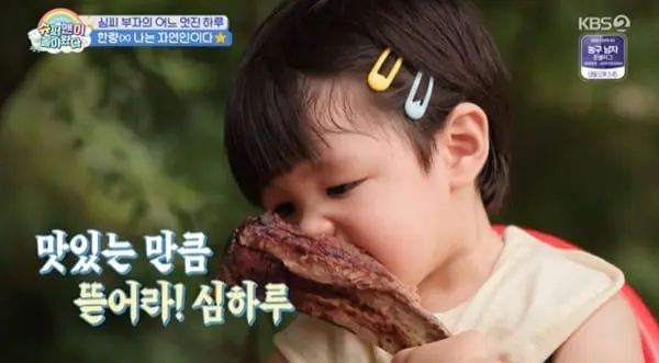 본문 이미지 - KBS2TV '슈퍼맨이 돌아왔다' 캡처