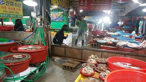 중국산 장어 101톤 국내산으로 속인 30대 대표…구속 송치