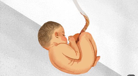 모텔 세면대서 숨진 신생아…20대 미혼모 '살인' 혐의 구속 송치(종합)