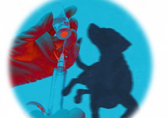 "키우다 힘들면 죽여드립니다"…동물장묘업체 살해 무혐의 논란