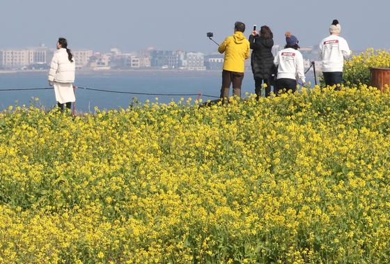 이제 휠체어로 섭지코지 갈 수 있나…제주도, 인권위 권고 수용